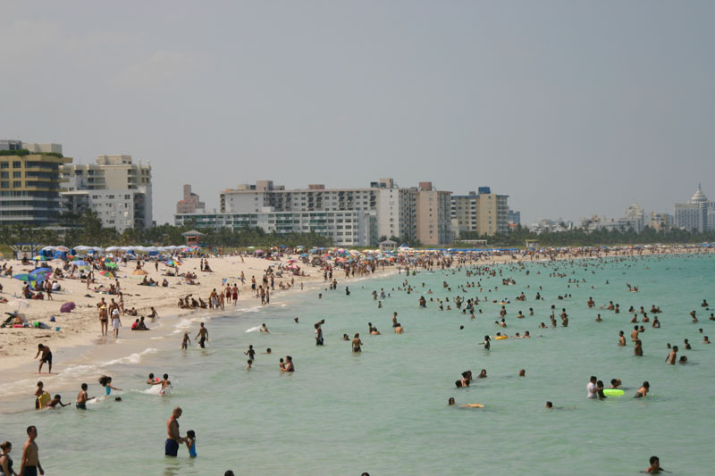 mdw-05-0599