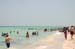 mdw-05-0358